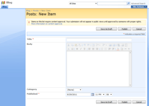 Screenshot of standard SharePoint 2007 list form